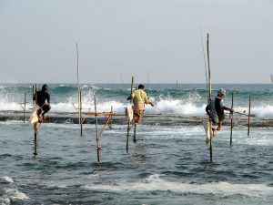 Fishermen on stilts, Sri Lanka