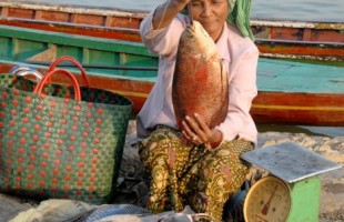 Cambodia Khmer fish-seller