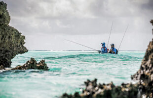 © Blue Safari Seychelles - Tourism Department Seychelles