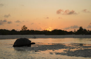 © Chris Parker - Tourism Department Seychelles