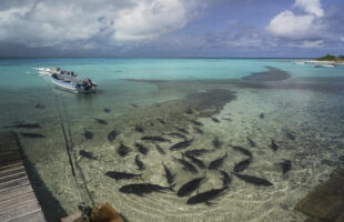 © Chris Parker - Tourism Department Seychelles