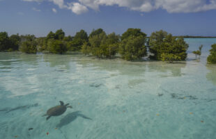 © Chris Mason Parker - Tourism Department Seychelles