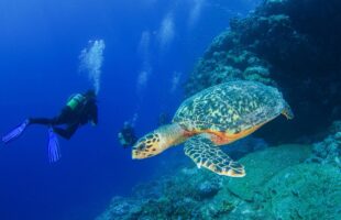 © Chris Mason Parker - Tourism Department Seychelles