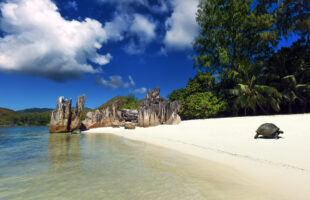 Curieuse Island (© Ennion Maffei- Tourism Department Seychelles)