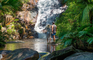 Waterfall (© Michel Denousse - Tourism Department Seychelles