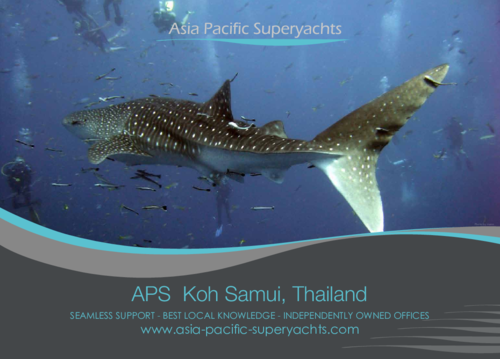 Download our Koh Samui Brochure 2018