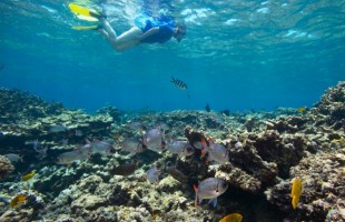 Seychelles_Ste.-Anne-Marine-National-Park