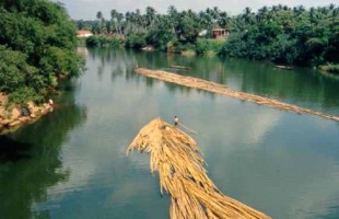 Sri Lanka - Kelani Ganga River