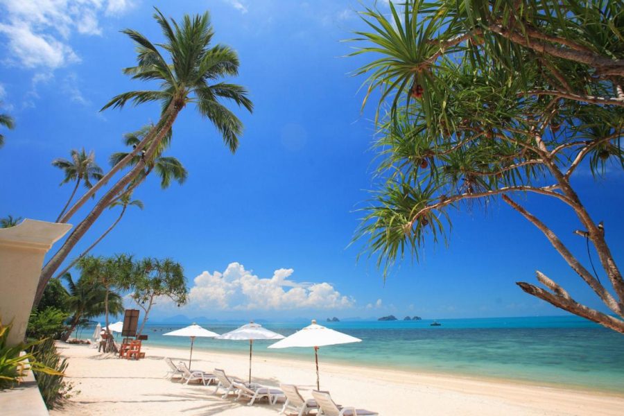 Koh Samui beach